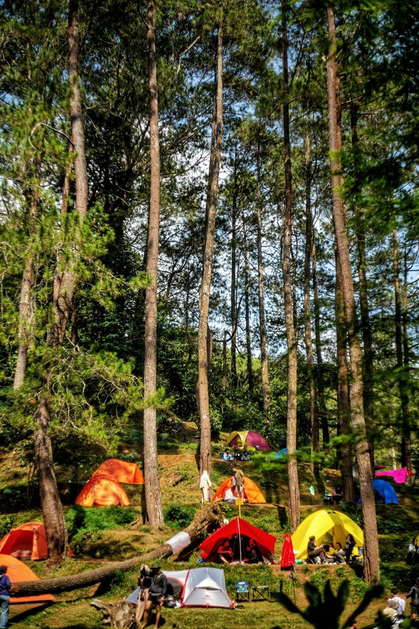 Découvrez le camping à agde : entre plages et nature !